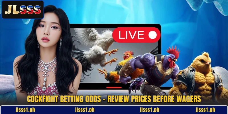 Cockfight Betting Odds - Review Prices Before Wagers
