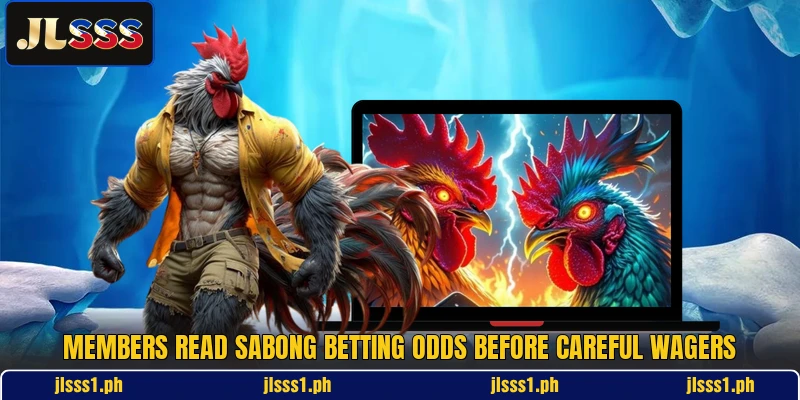 Members read Sabong Betting Odds before careful wagers