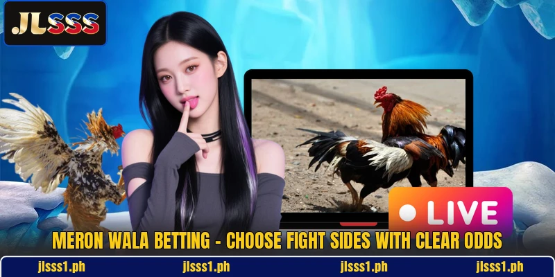 Meron Wala Betting - Choose Fight Sides With Clear Odds